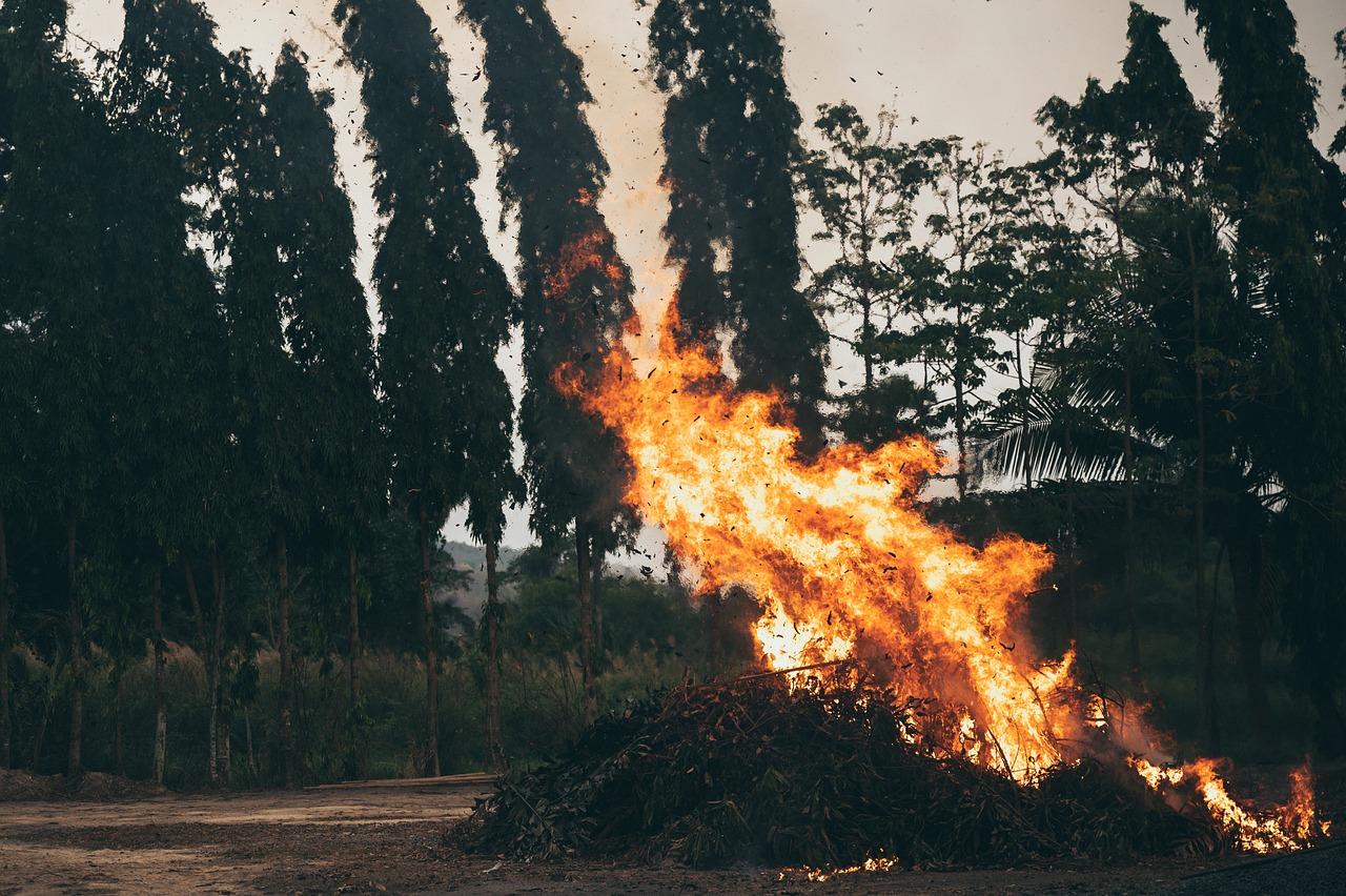 What Exactly is a Carbon Neutral Lifestyle?